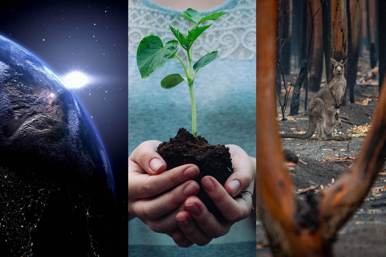 Photo gallery: The Earth from space with the sun rising behind it/ Woman’s hand holding a small tree cutting/Kangaroo with her cub looking from the distance of a burnt-out forest 